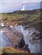 Flamborough lighthouse and cliffs