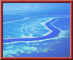 Hardy Reef, part of the Great Barrier Reef